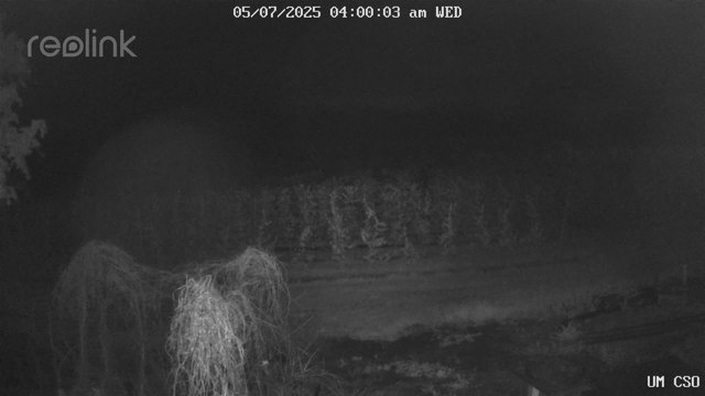time-lapse frame, UM CSO webcam