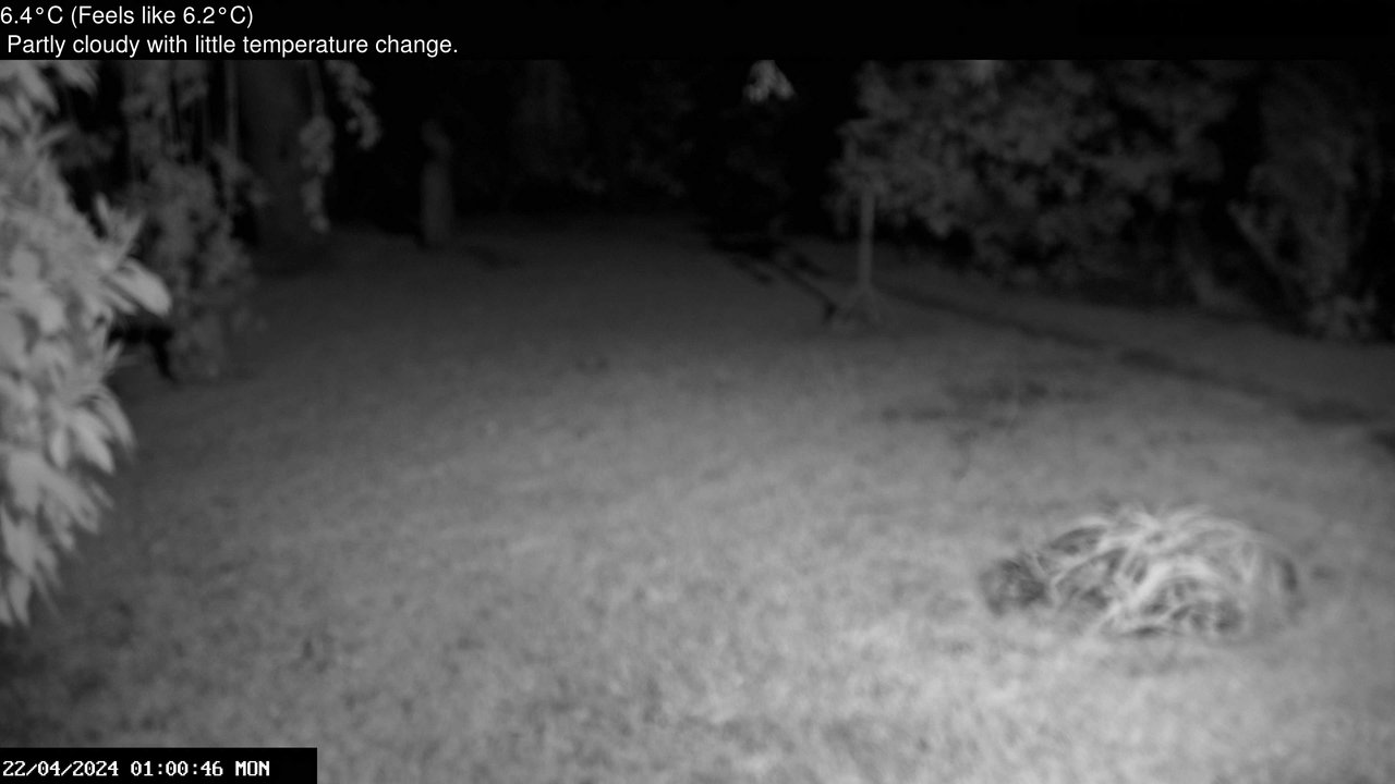 time-lapse frame, Wembury, Devon. Garden Zoom Cam webcam