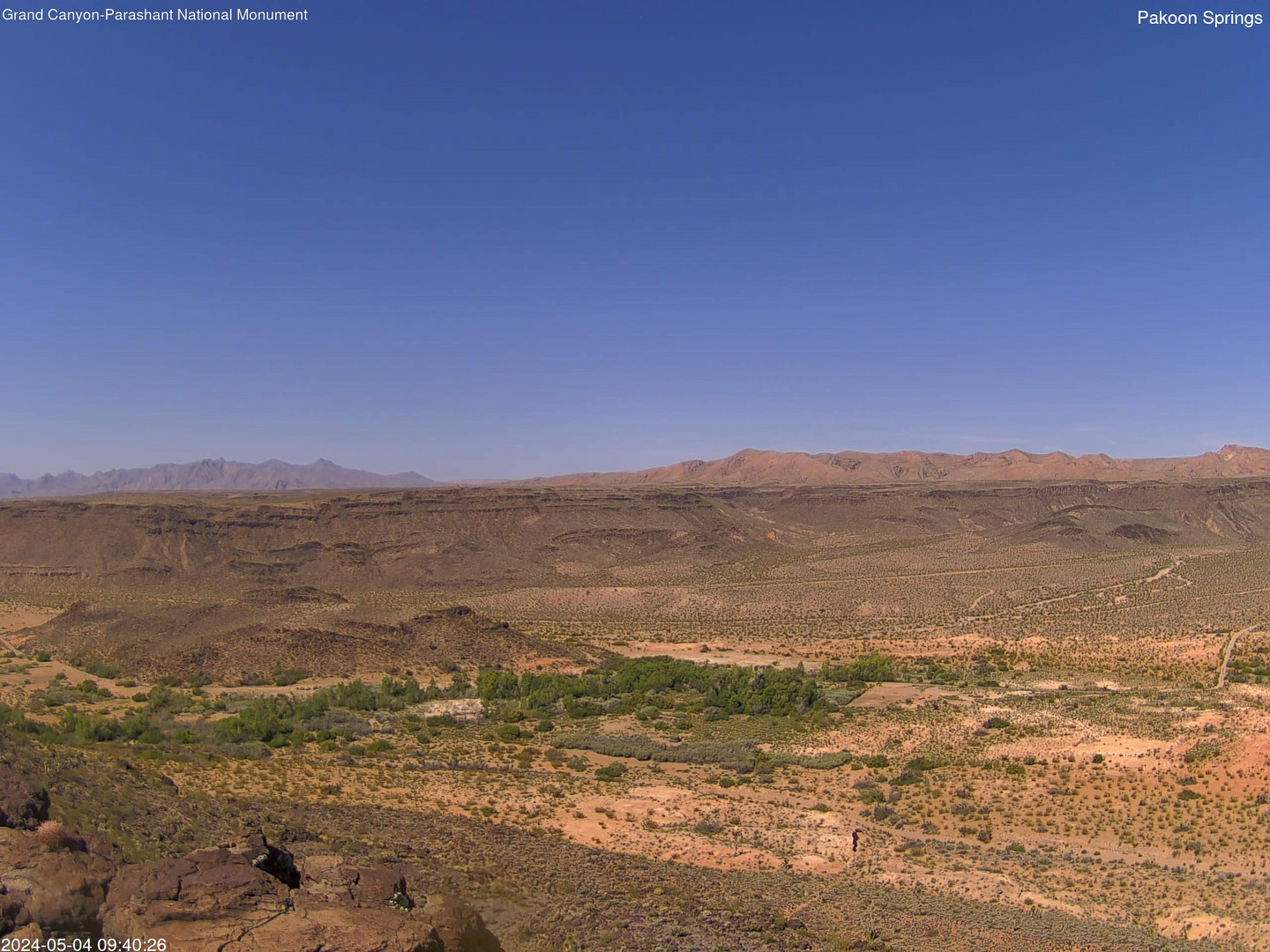 time-lapse frame, Pakoon Springs webcam