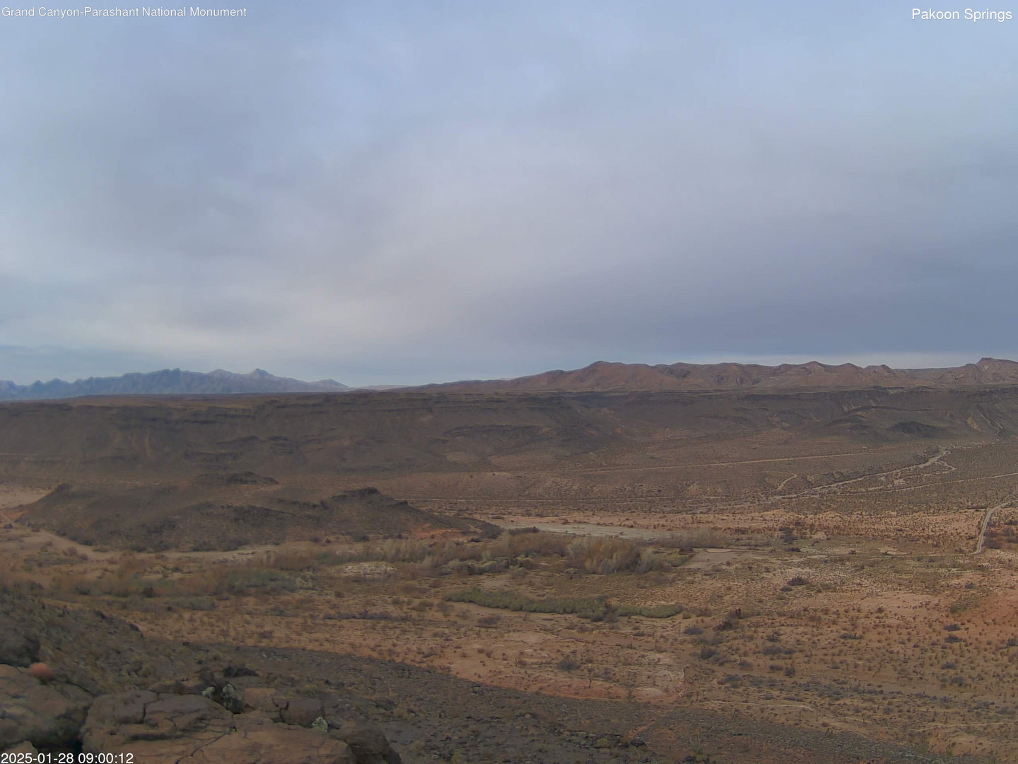 time-lapse frame, Pakoon Springs webcam