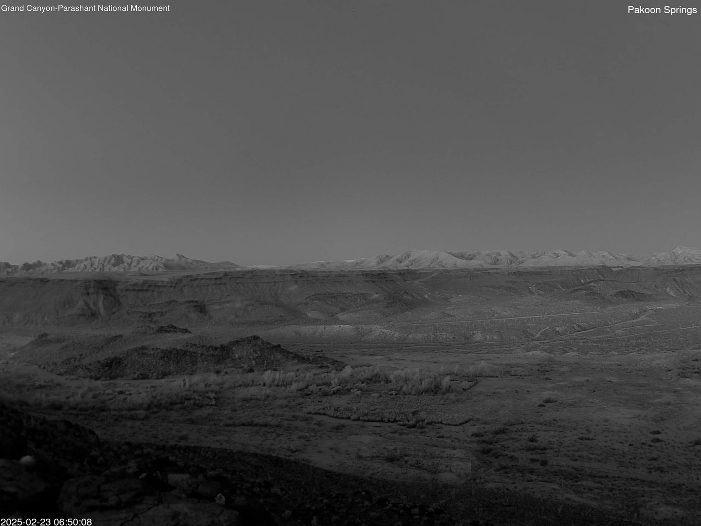 time-lapse frame, Pakoon Springs webcam