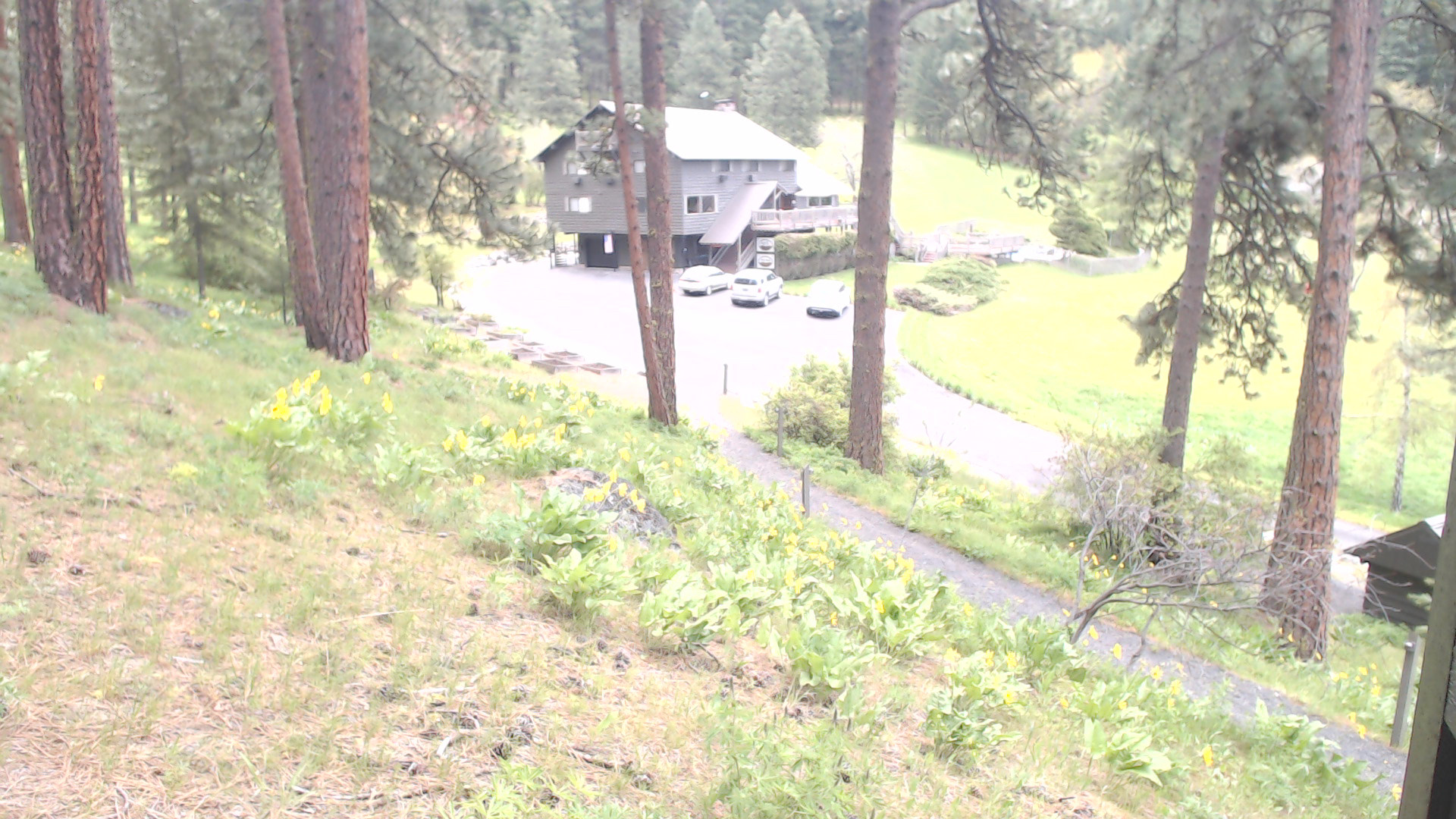 time-lapse frame, Mountain Home Lodge From Cabin webcam