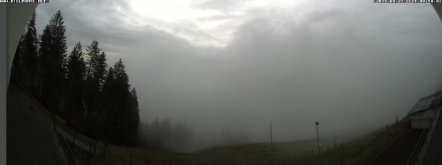 time-lapse frame, Oasi Zegna Cascina Pilota webcam