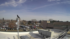 view from East on 2025-01-30