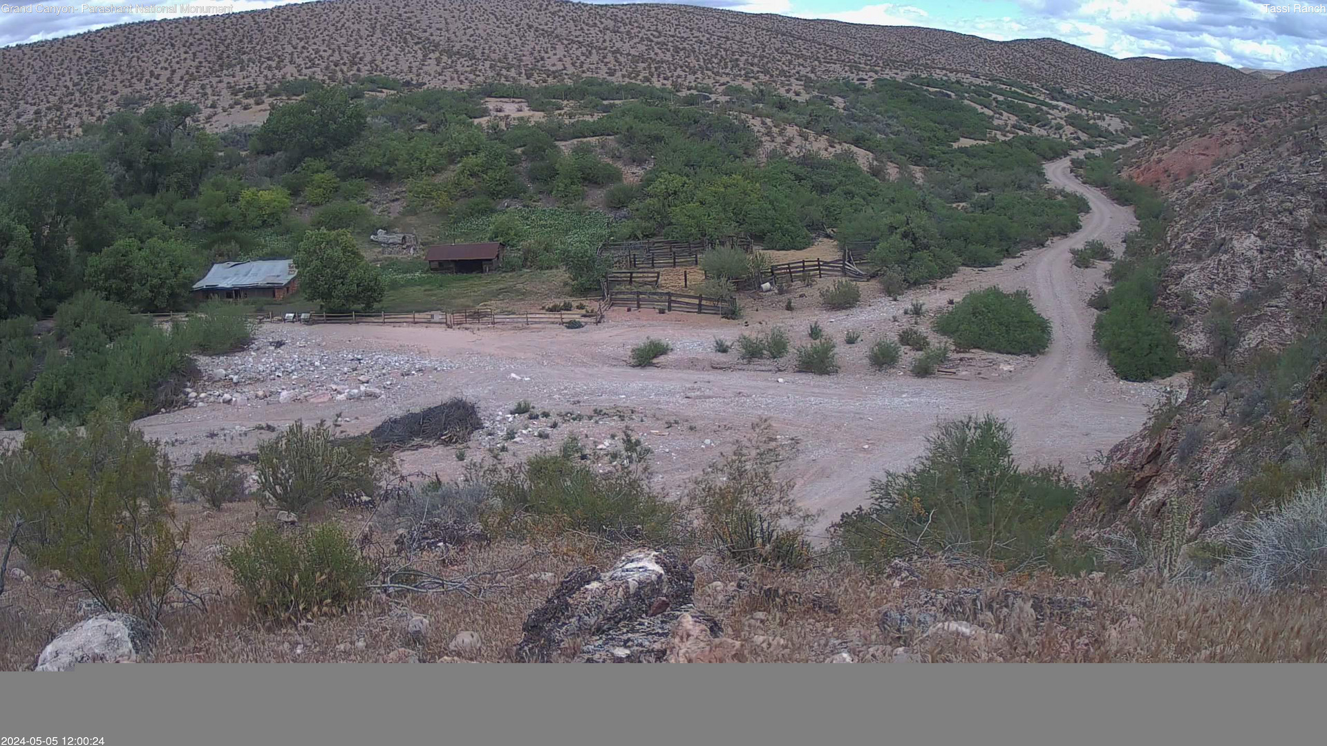 time-lapse frame, Tassi Ranch webcam