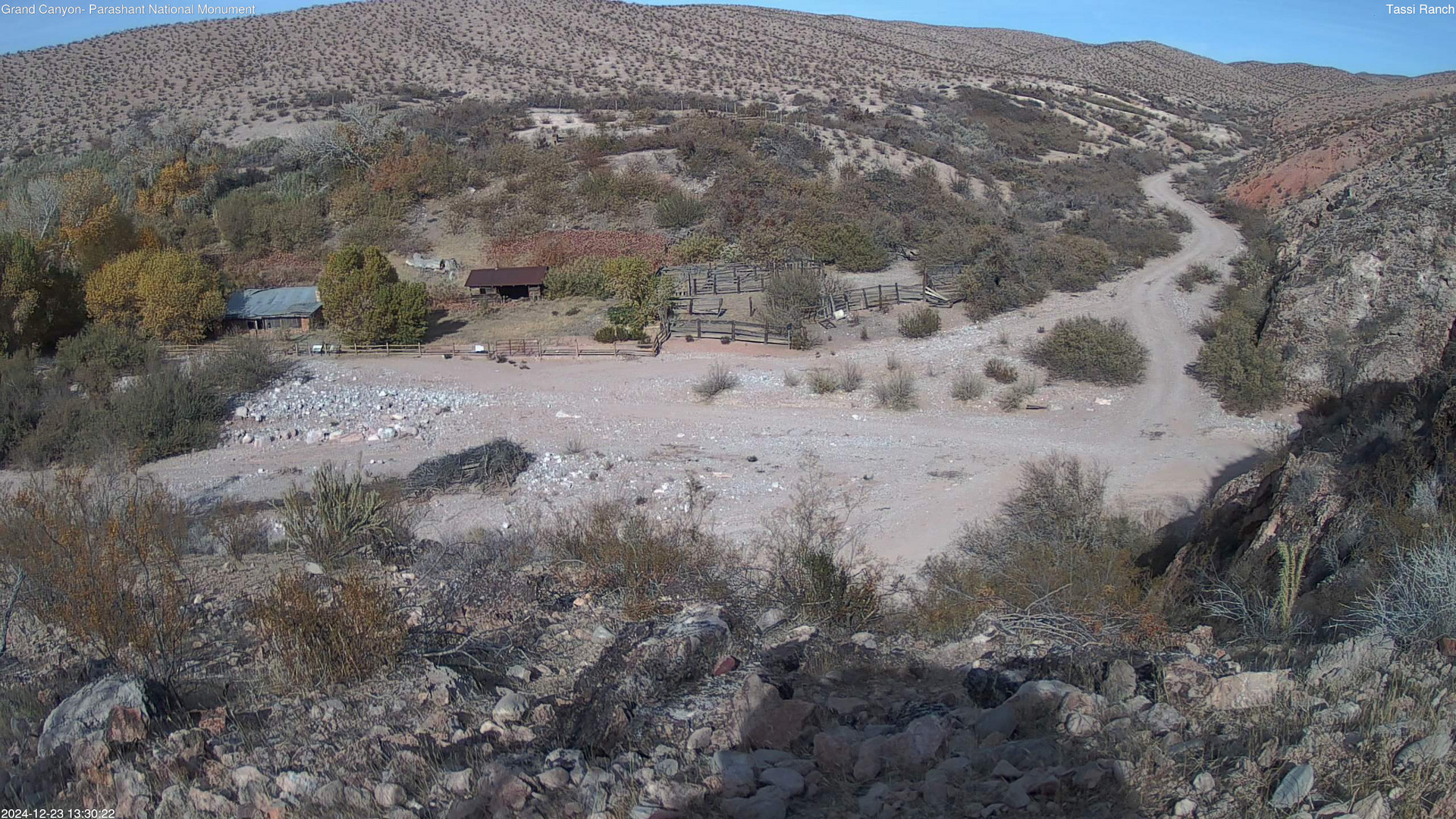 time-lapse frame, Tassi Ranch webcam