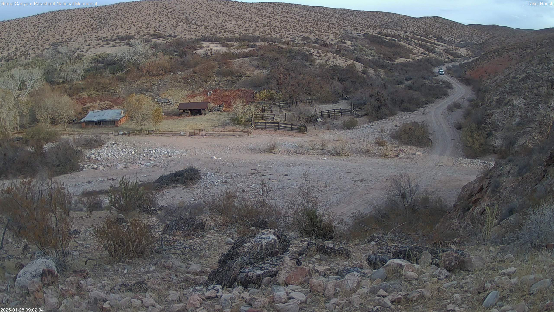 time-lapse frame, Tassi Ranch webcam