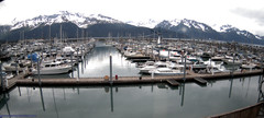 view from Seward Harbor on 2022-06-14