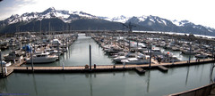 view from Seward Harbor on 2022-06-15