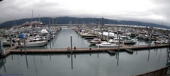 view from Seward Harbor on 2022-06-25