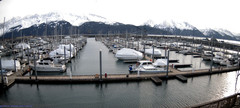 view from Seward Harbor on 2023-03-14