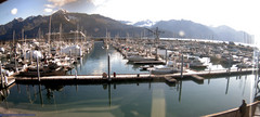 view from Seward Harbor on 2023-09-24