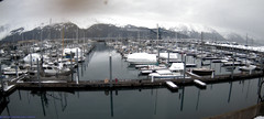 view from Seward Harbor on 2024-03-17