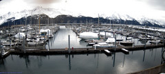 view from Seward Harbor on 2024-03-18
