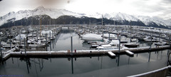 view from Seward Harbor on 2024-04-03