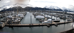 view from Seward Harbor on 2024-04-13