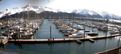 view from Seward Harbor on 2024-04-14