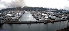 view from Seward Harbor on 2024-04-16