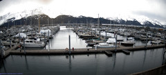 view from Seward Harbor on 2024-04-17