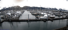 view from Seward Harbor on 2024-04-18