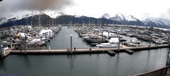 view from Seward Harbor on 2024-05-18