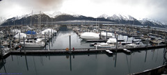 view from Seward Harbor on 2024-12-20