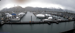 view from Seward Harbor on 2025-01-24