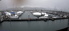 view from Seward Harbor on 2025-01-26