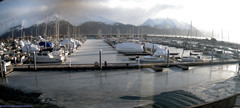 view from Seward Harbor on 2025-01-29