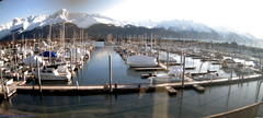 view from Seward Harbor on 2025-02-04