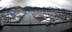 view from Seward Harbor on 2025-05-01