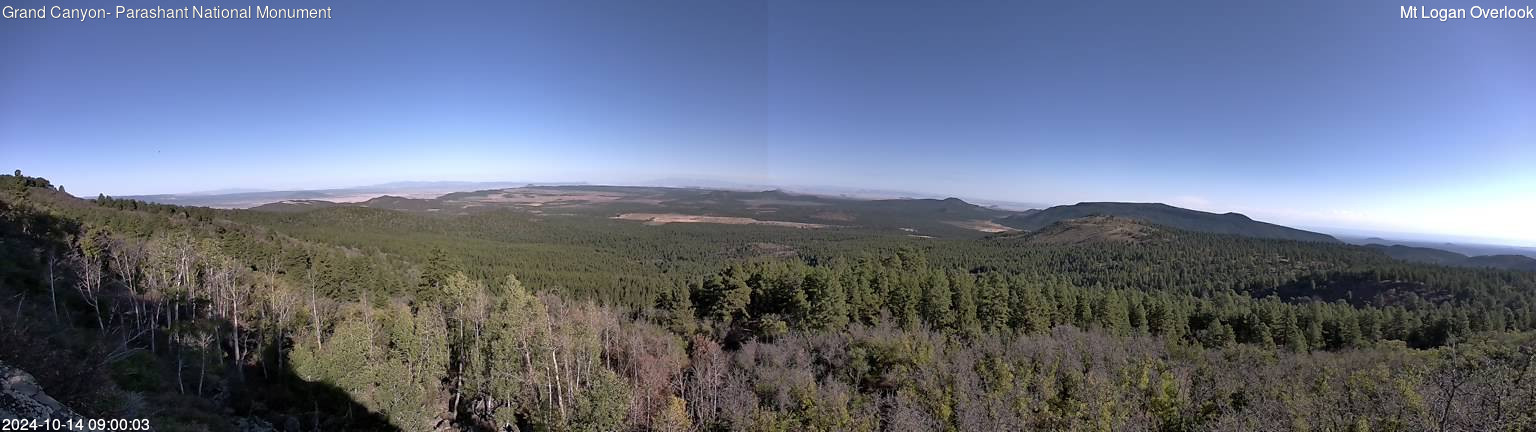 time-lapse frame, Mt Logan webcam