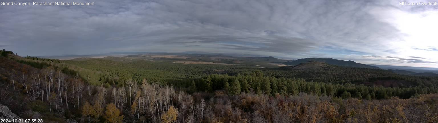 time-lapse frame, Mt Logan webcam