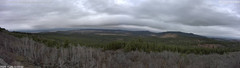 view from Mt Logan on 2024-11-25