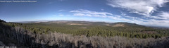 view from Mt Logan on 2024-12-20