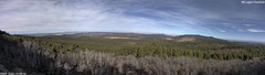 view from Mt Logan on 2024-12-21