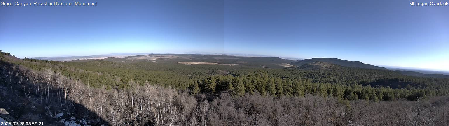 time-lapse frame, Mt Logan webcam