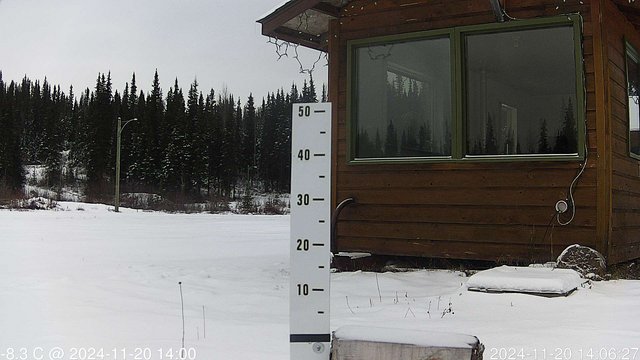 time-lapse frame, snowstump webcam