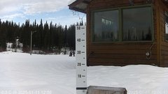 view from snowstump on 2025-01-11